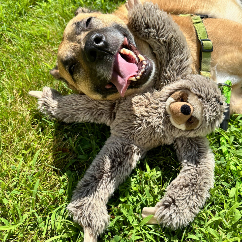 Cozy Plush Sloth Companion Toy for Dogs - Image 5