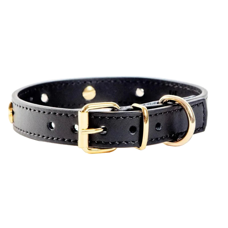Handmade Outdoor Dog Collar for Daily Wear
