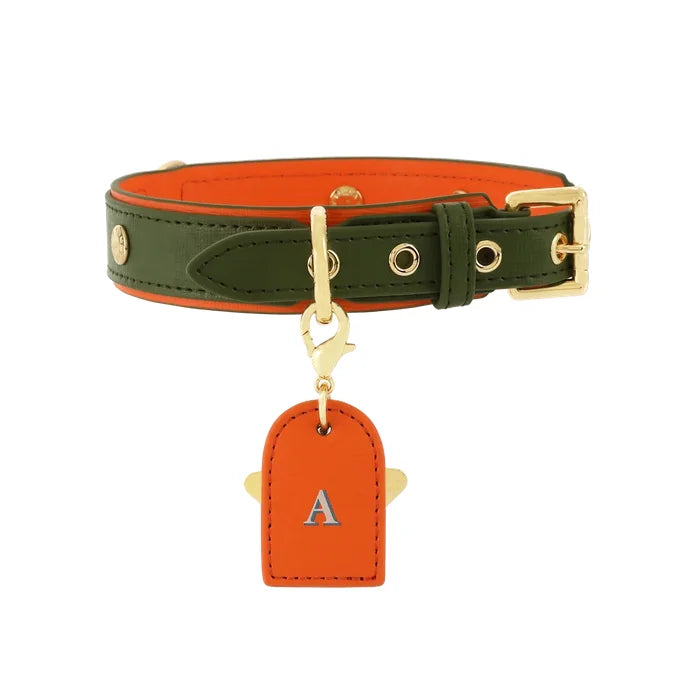 Durable Dual Colour Leather Dog Collar