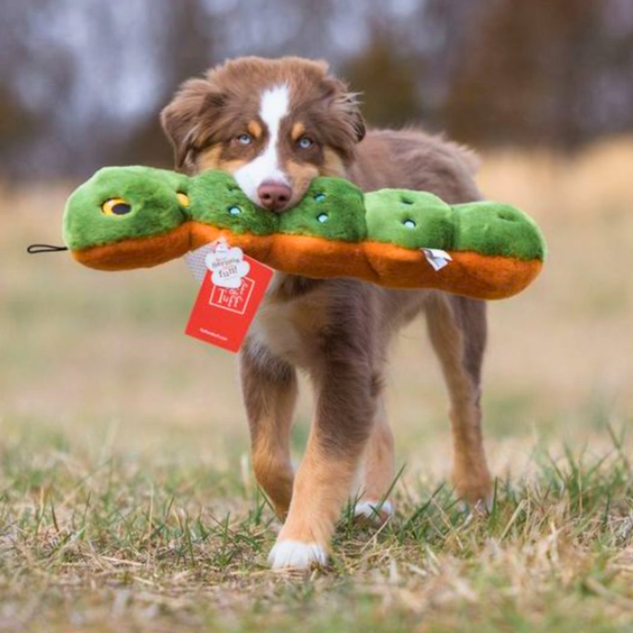 Large Durable Caterpillar Plush Dog Toy